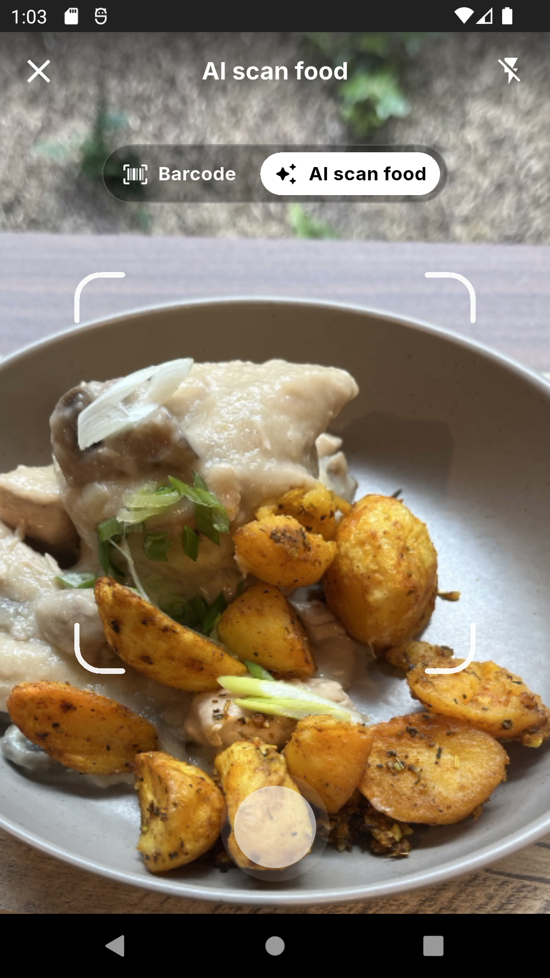 Siqo AI food recognition analysing a photographed meal