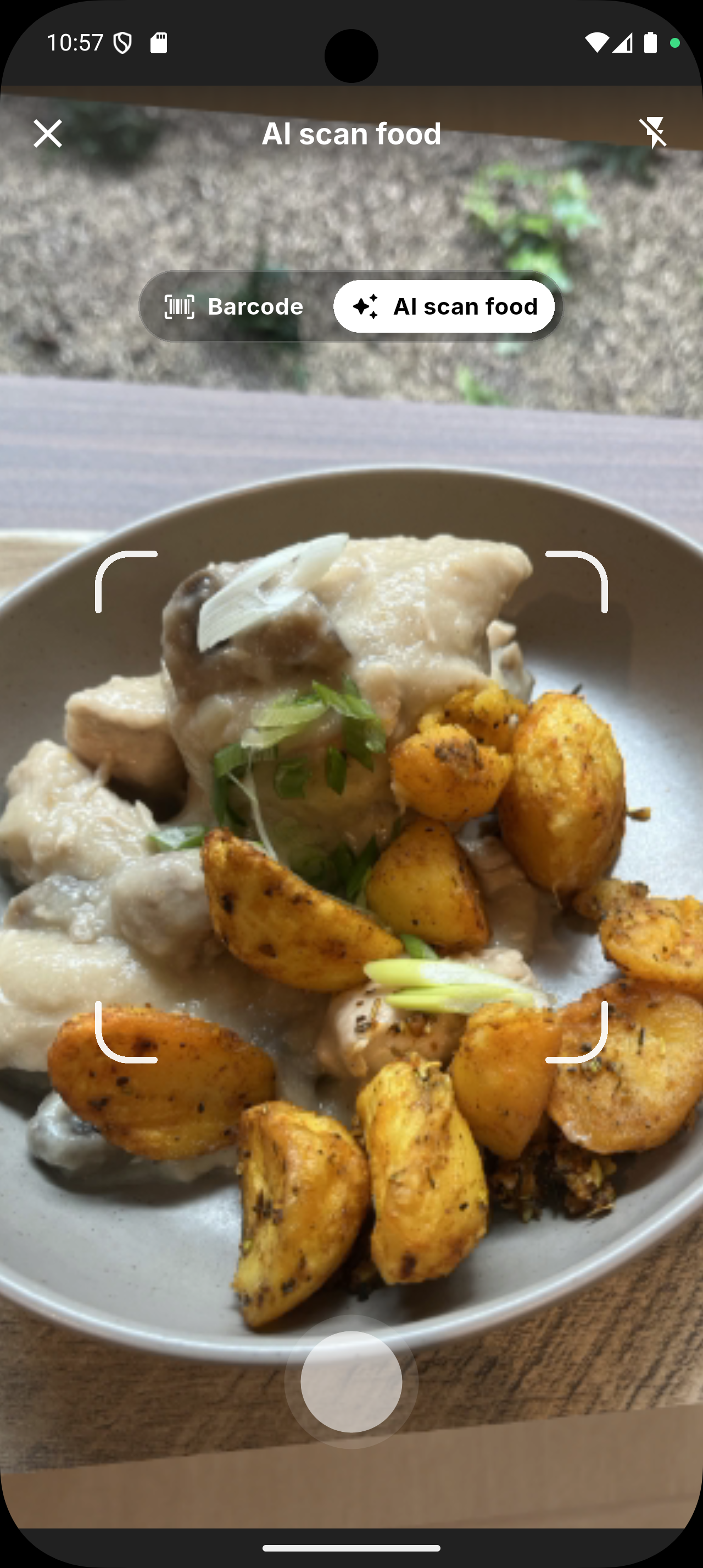 Siqo AI food recognition analysing a photographed meal
